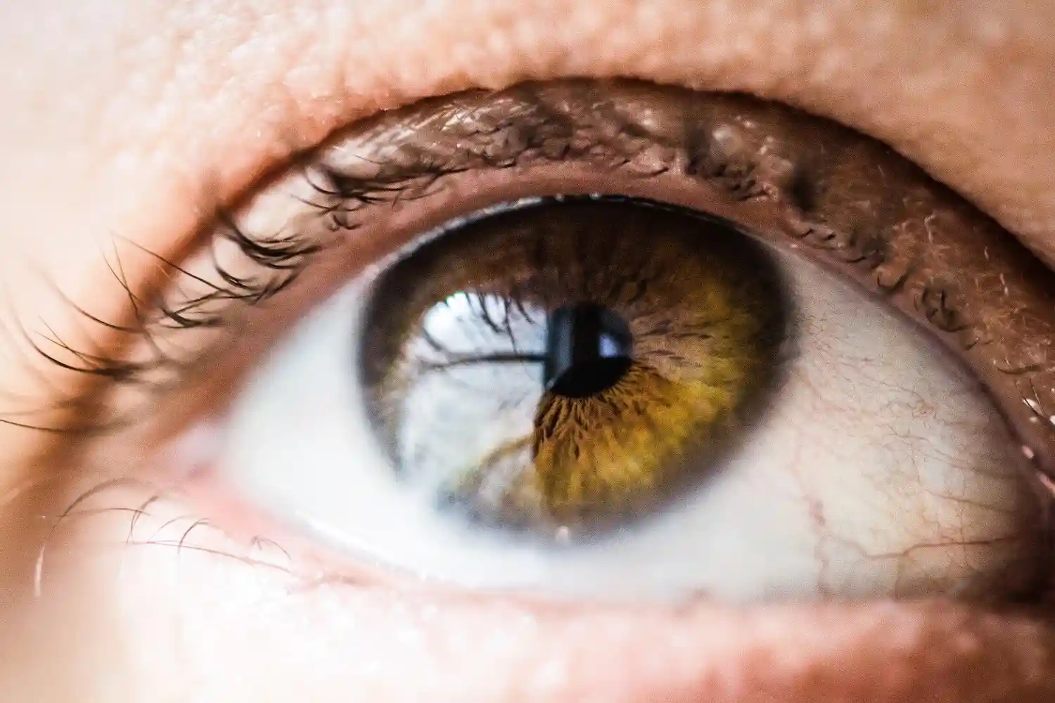Diabetic Eye Care