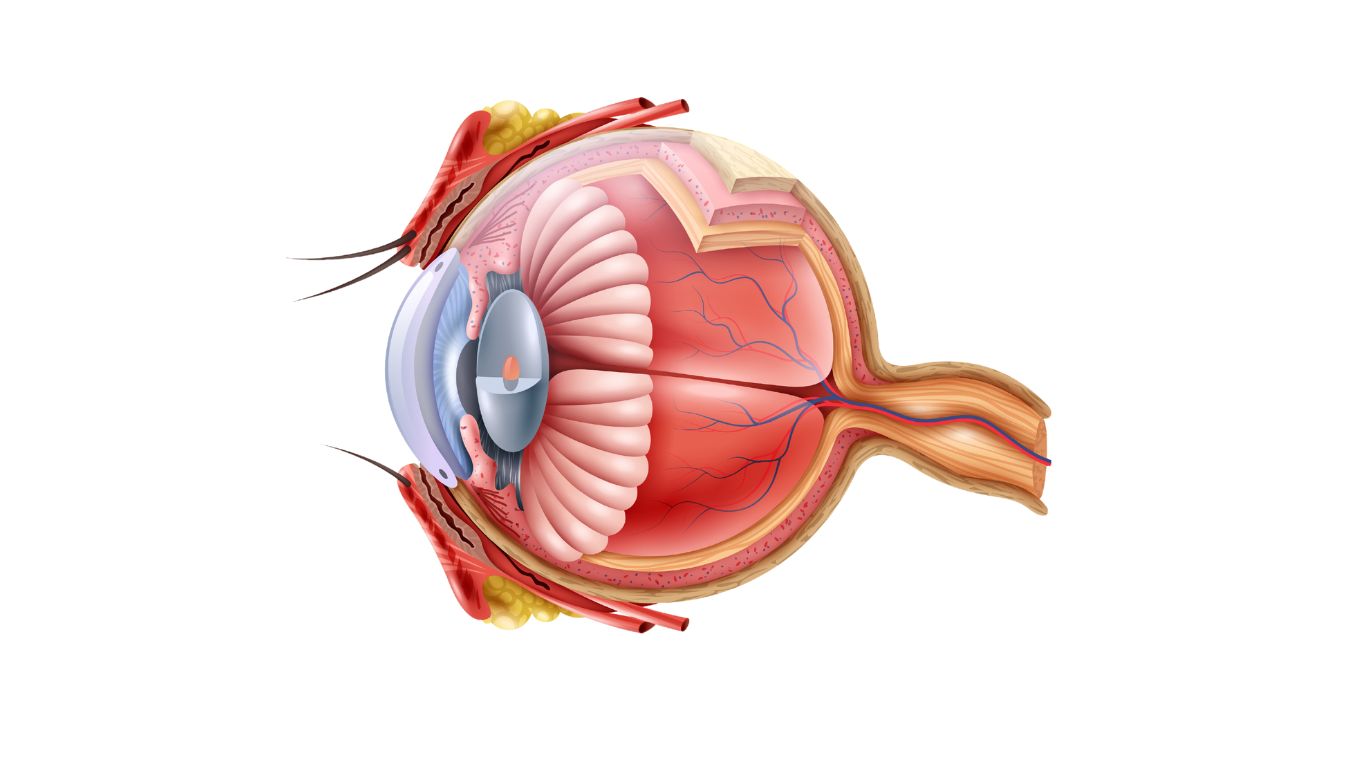 Risks of ICL Surgery